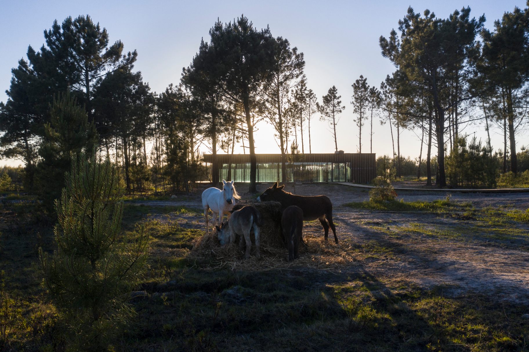Craveiral Farmhouse 3